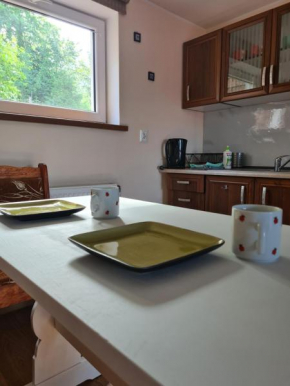 Apartament u Antoniego